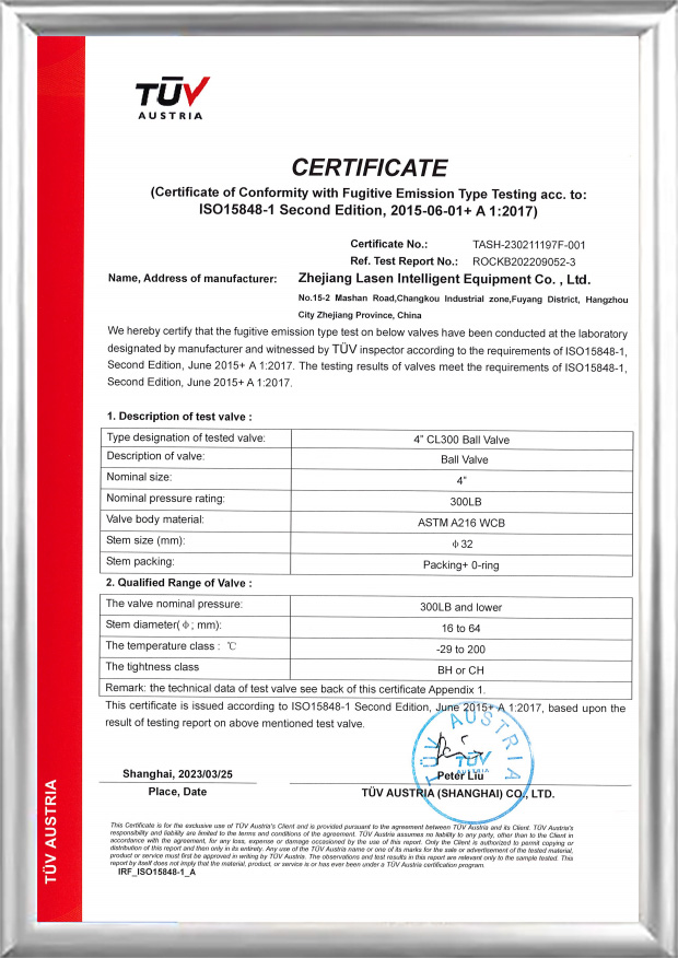 TÜV ISO15848-Zertifikat (4