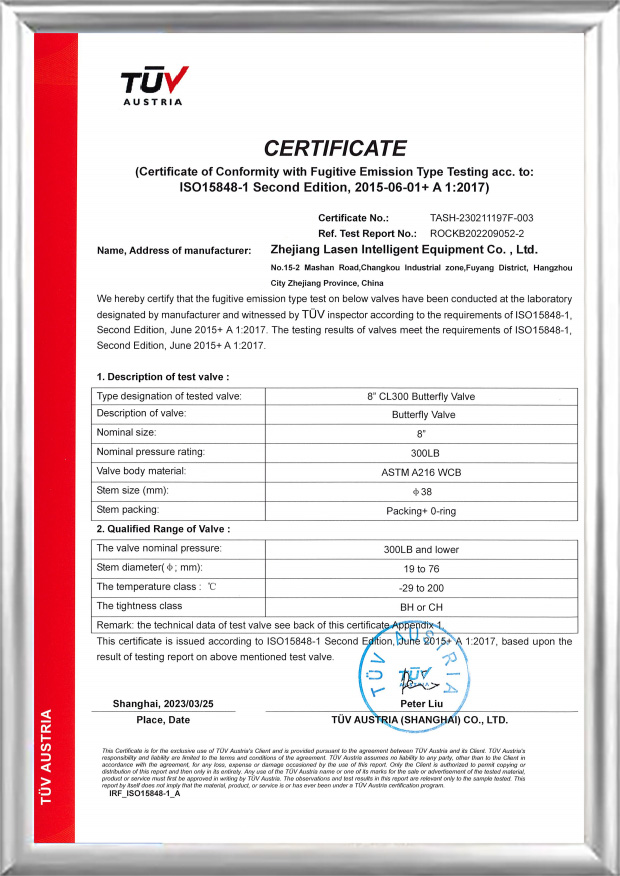 TÜV ISO15848-Zertifikat (8