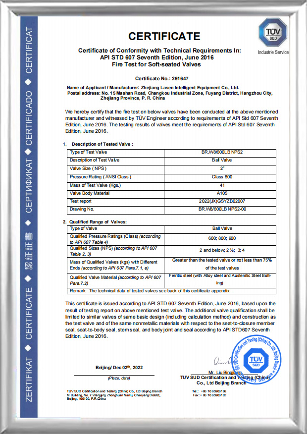 API 607-Brandzertifizierung (BR.W8/600 LB NPS2)